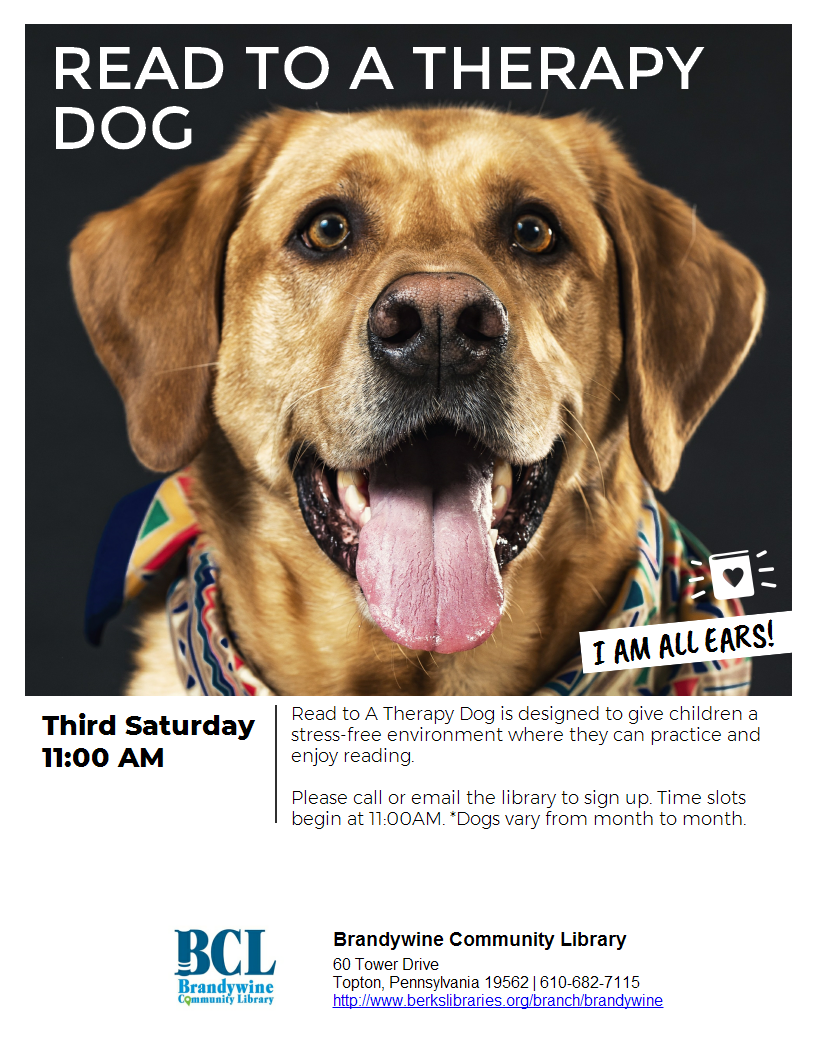 therapy dog flier