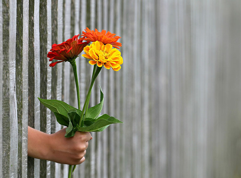 Handing flowers through a fence.