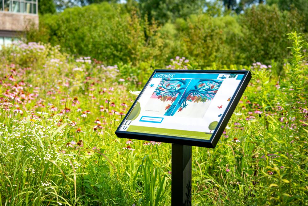 StoryWalk display in front of a green nature background