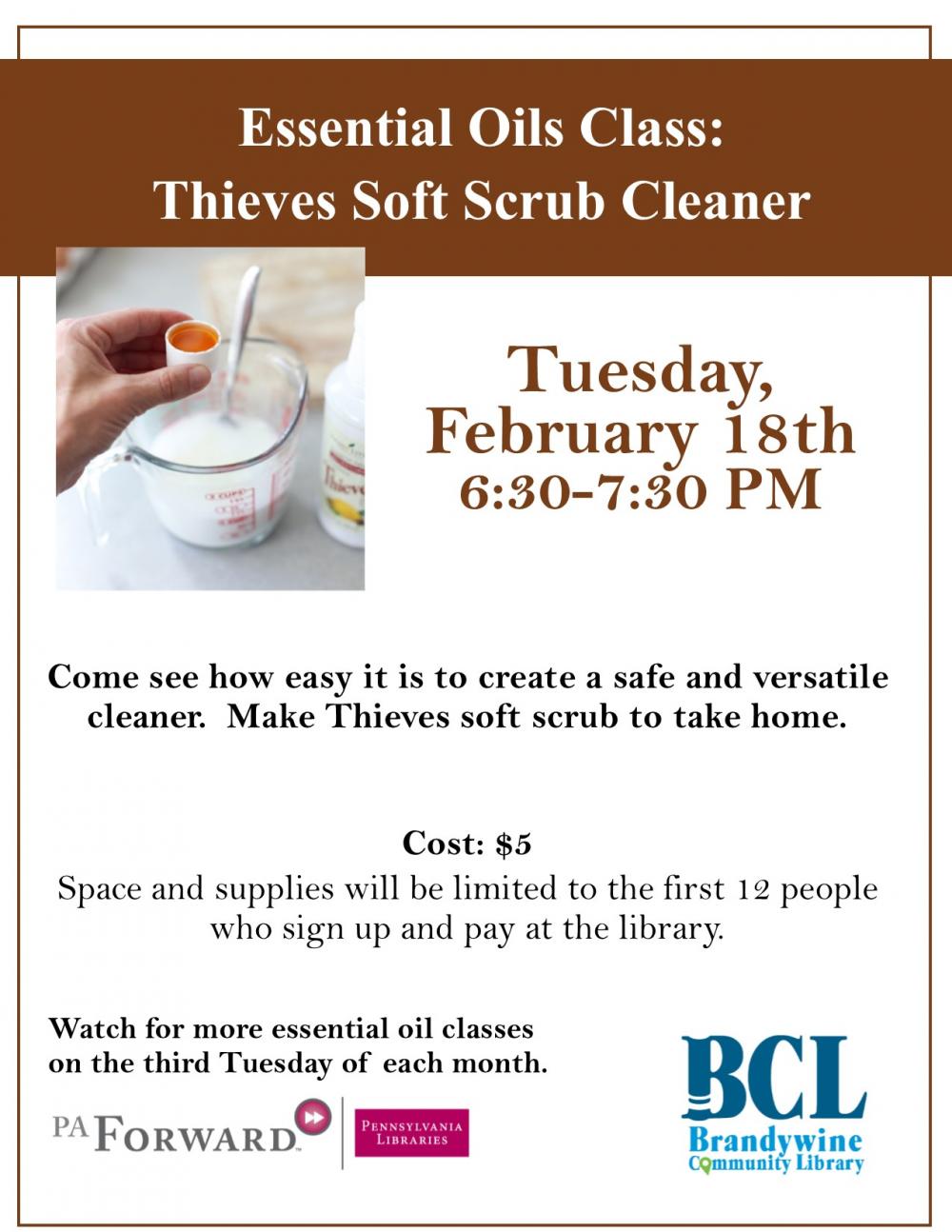 essential oils- February 18 class- Thieves Soft Scrub Cleaner