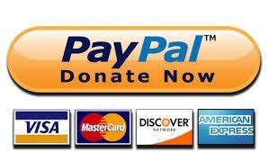 PayPay Donation Button