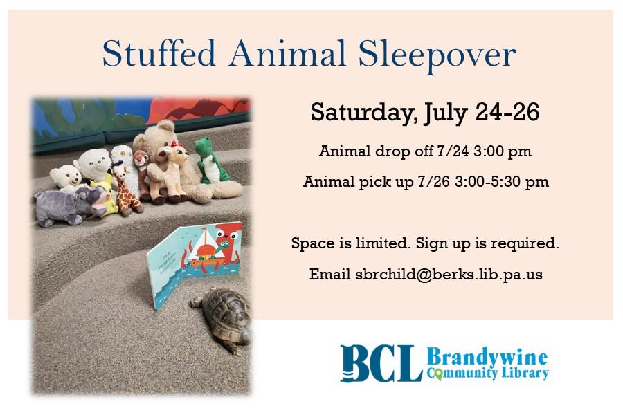 stuffed animal sleepover flyer