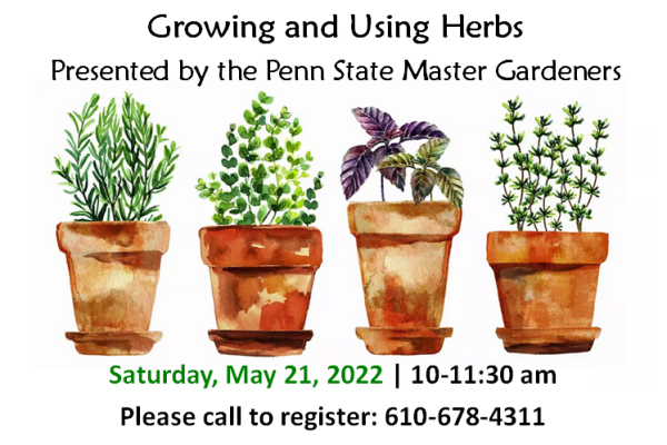 Using and Growing Herbs Saturday May 21, 10 AM to 11:30 AM call to register 610-678-4311