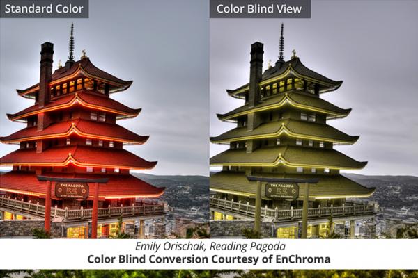 Reading Pagoda in standard and color blind views