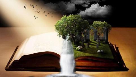 book open on table with tree growing out of pages and river flowing out onto table with birds flying above the tree in a beam of sunlight