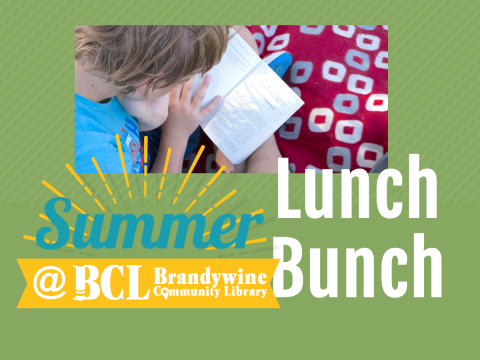 lunch bunch graphic- green background with image of boy reading on blanket with library summer logo and text lunch bunch