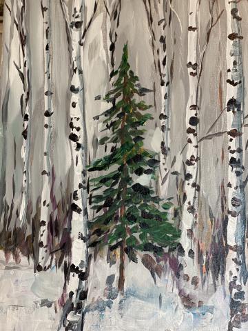 Birch trees and pine tree painted on canvas