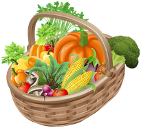 A basket filled with a variety of vegetables.