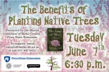 Planting Native Trees slide