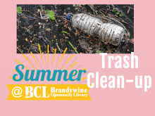 image of plastic bottle on ground with summer logo and text- trash clean up