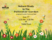 Nature Study In The Pollinator Garden!