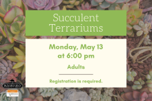 Succulent Terrariums